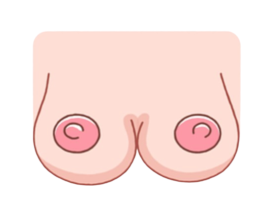 Breasts