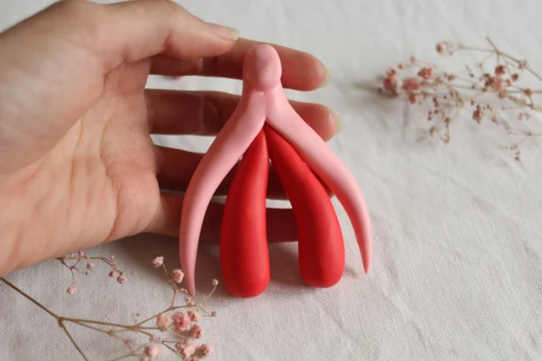 clitoris