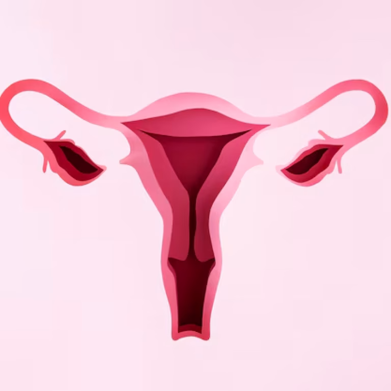 treatment for fibroids
