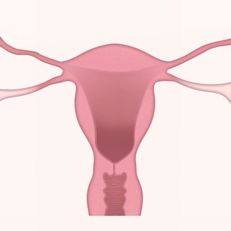heart and womb