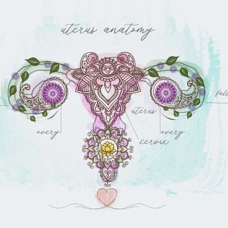 uterus